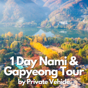 1-Hari Nami & Gapyeong (Kendaraan Pribadi)