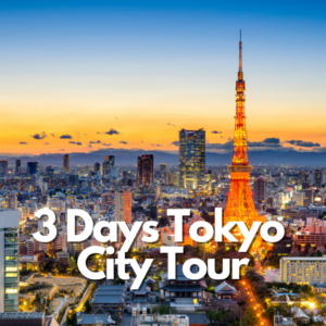 3-Hari Tokyo City
