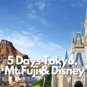 5-Hari Tokyo, Fuji & Disneyland