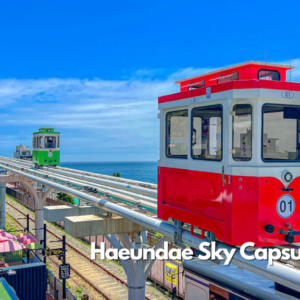 1-Hari Busan (Kendaraan Pribadi)