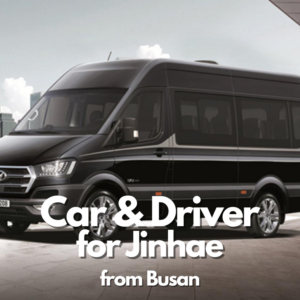 Jinhae city (Cherry Blossom)