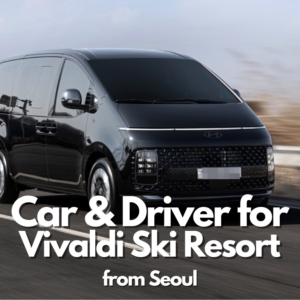 Vivaldi Ski Resort (Snowyland)