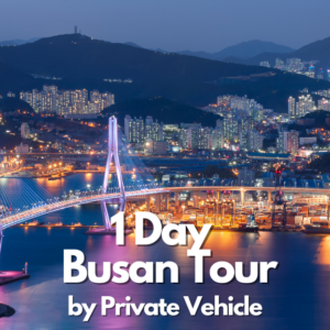 1-Hari Busan (Kendaraan Pribadi)